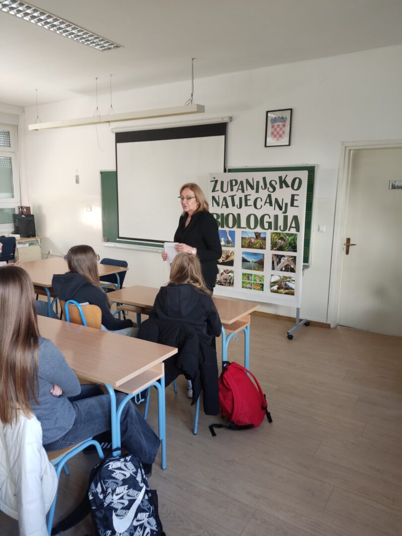 IMG-624957e123922247ef5f66f4d2d910bd-V